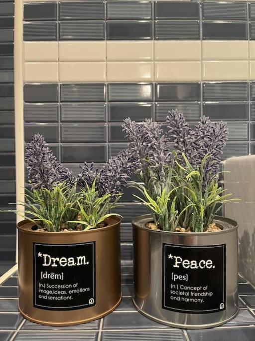 סן ויסנטה דה לה ברקרה Ideal Apartamento En Sanvi מראה חיצוני תמונה